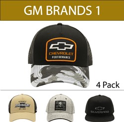 VTN - CAP LIC GM BRANDS - 4 PACK