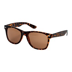 Black Ice Blake Tort Sunglasses